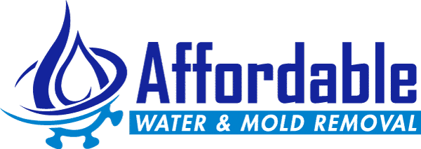 water Mitigation service