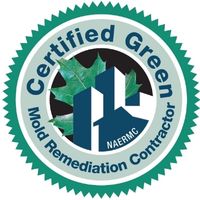 Indialantic Mold Removal and Remediation