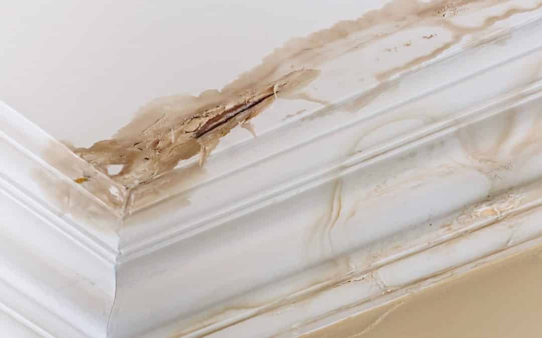 Why You Shouldn’t Try to Do Your Own Water Damage Restoration