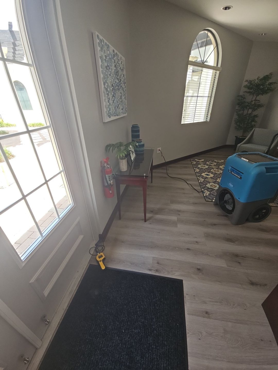 Moisture meter placed on the floor by an entry door to check for water intrusion