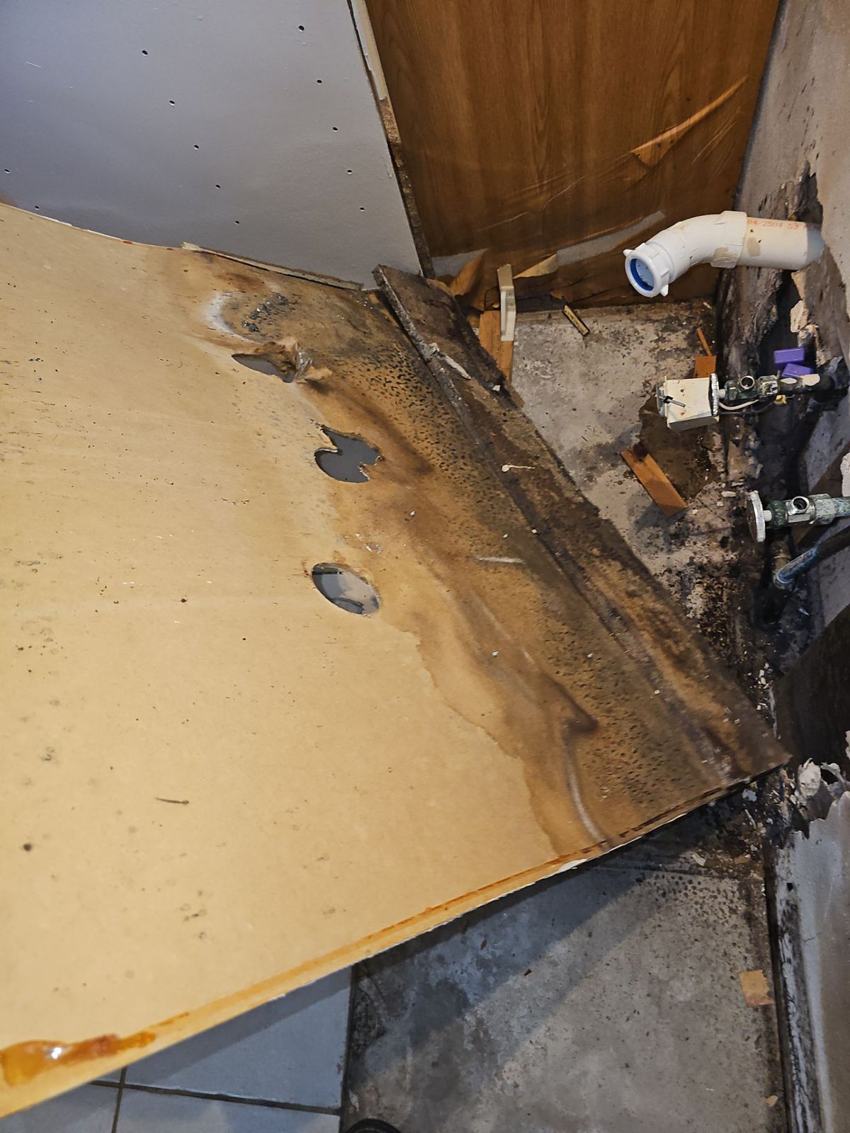 Underside of a kitchen base cabinet with the particleboard rotted and stained black from a long-running drain leak