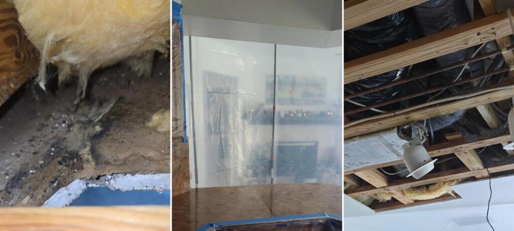Mold growth on insulation and wood framing above an opened Melbourne Beach ceiling, a floor-to-ceiling plastic containment wall with a zipper door, and the ceiling opened to the joists with ductwork and wiring visible