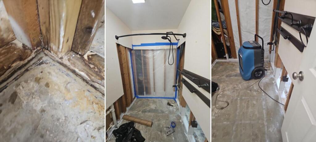 Mold at the base of a wall behind a Palm Bay bathtub, a bathroom stripped to the studs under containment, and a dehumidifier running on the bare slab