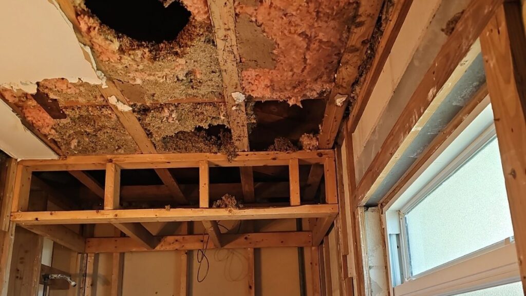 Mold remediation technician in protective suit in Merritt Island, FL – Affordable Water and Mold Removal job photo