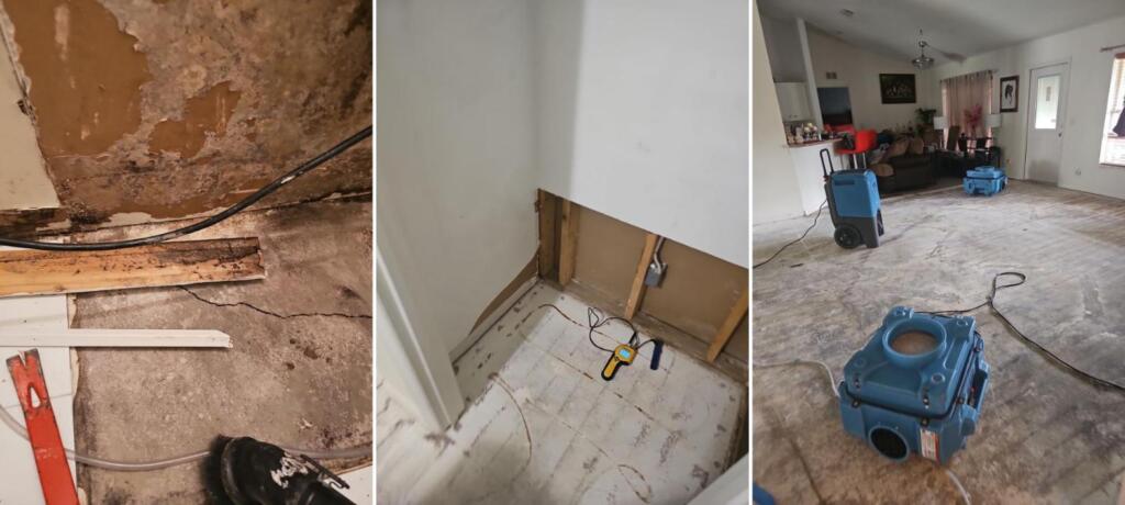 Mold and water staining under removed flooring in a Palm Bay home, an opened wall cavity with a moisture meter, and drying equipment running in the living area