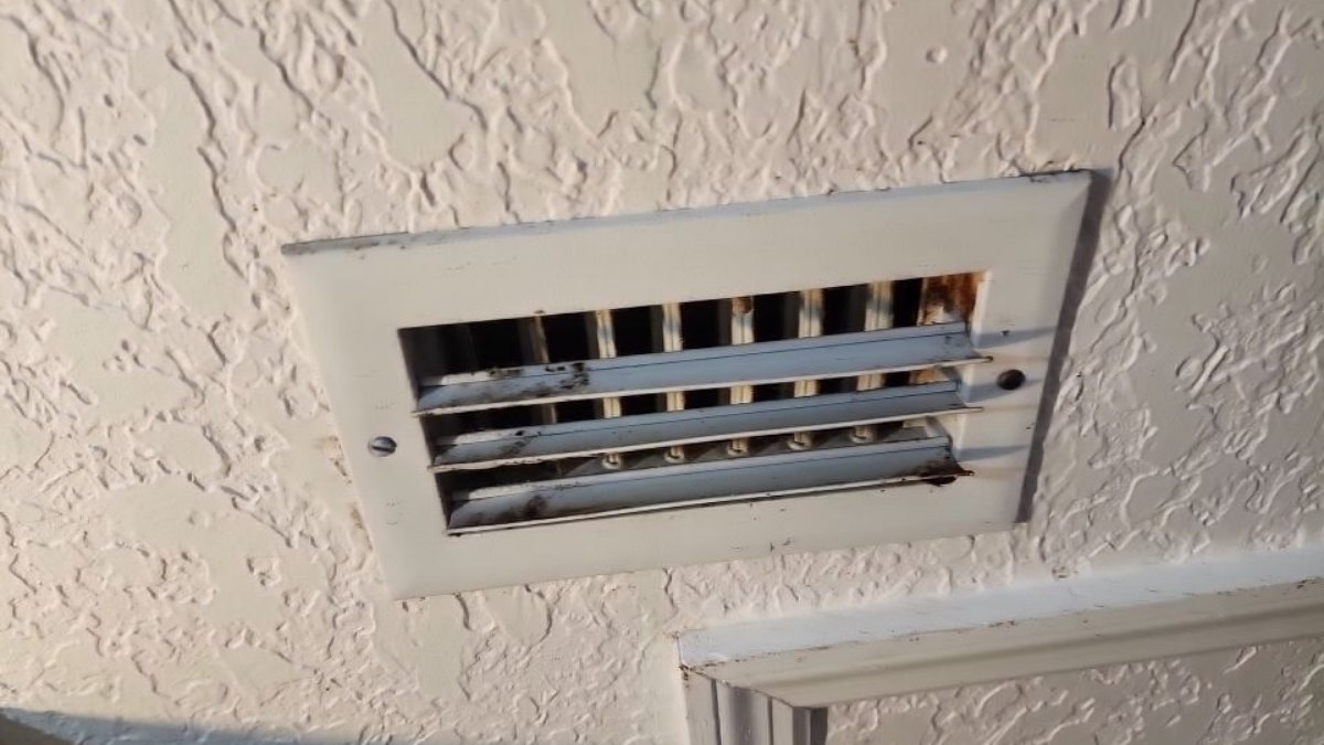 Mold and moisture job in Port St. John, FL – Affordable Water and Mold Removal job photo