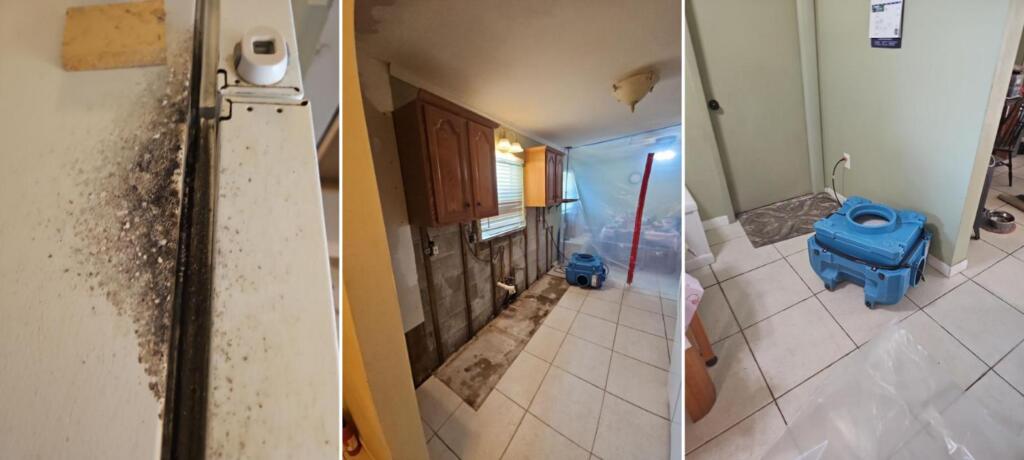 Mold growth along a cabinet edge in a Titusville kitchen, the kitchen with lower cabinets and drywall removed under plastic containment with an air scrubber running, and an air mover drying the floor